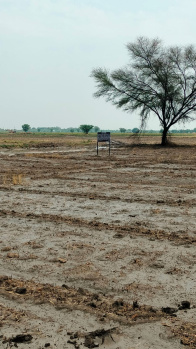  Residential Plot for Sale in Sanand, Ahmedabad