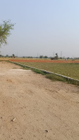  Residential Plot for Sale in Jewar, Gautam Buddha Nagar