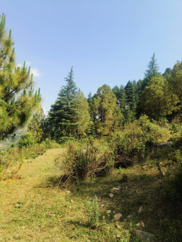  Residential Plot for Sale in Dhanaulti, Tehri Garhwal