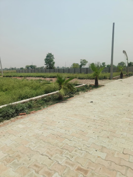  Residential Plot for Sale in Jhajhar, Gautam Buddha Nagar