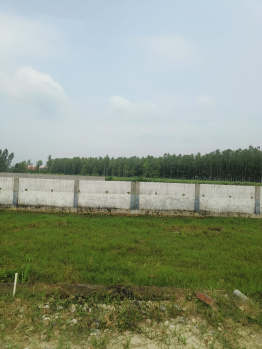  Residential Plot for Sale in Patanjali Yogpeeth, Haridwar