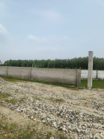  Residential Plot for Sale in Patanjali Yogpeeth, Haridwar