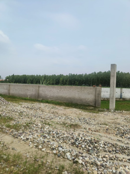  Residential Plot for Sale in Patanjali Yogpeeth, Haridwar