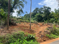  Agricultural Land for Sale in Ranni, Pathanamthitta