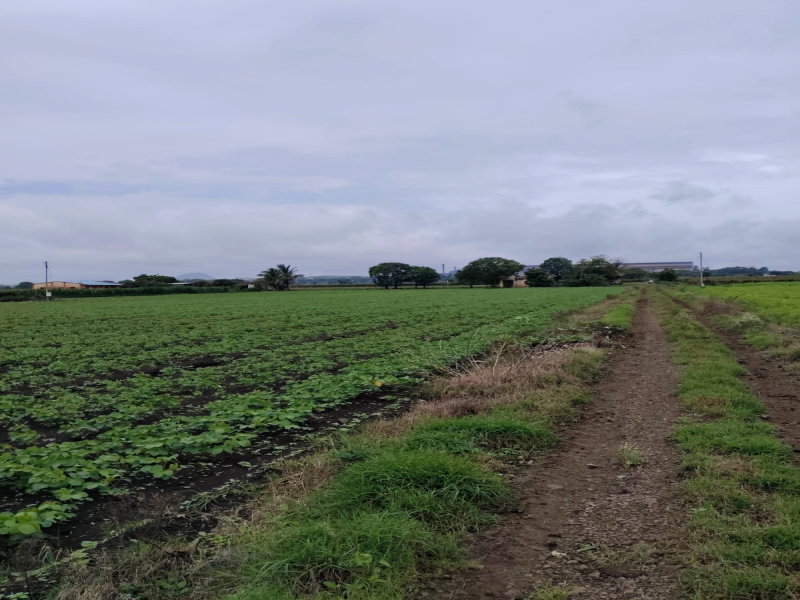 Dindori, Nashik photo 5