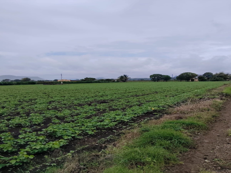Dindori, Nashik photo 2
