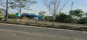  Industrial Land for Sale in Krishi Mandi, Indore
