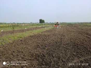  Agricultural Land for Sale in Chimur, Chandrapur