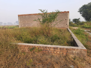  Agricultural Land for Sale in Bamni Khera, Palwal
