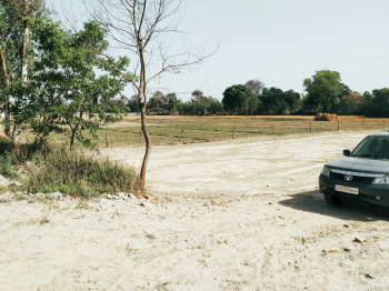  Commercial Land for Sale in Rasauli, Barabanki
