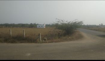  Agricultural Land for Sale in Vembakkam, Kanchipuram