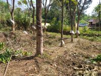  Residential Plot for Sale in Erumeli, Kottayam
