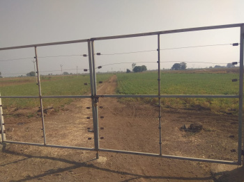  Agricultural Land for Sale in Gondal, Rajkot