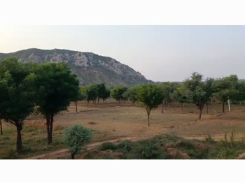 Agricultural Land for Sale in Achrol, Jaipur