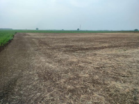  Agricultural Land for Sale in Venkateswara Nagar, Ongole, Prakasam