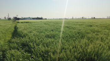  Agricultural Land for Sale in Cantt Road, Shahjahanpur
