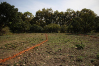  Residential Plot for Sale in Pondha, Dehradun