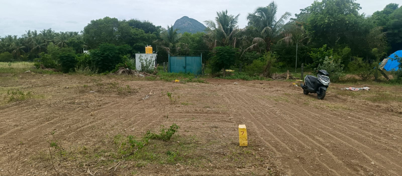  Residential Plot 1200 Sq.ft. for Sale in Adi Annamalai, Tiruvannamalai