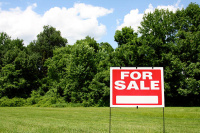  Residential Plot for Sale in Diwancheruvu, Rajahmundry