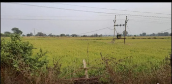  Agricultural Land for Sale in Housing Board Colony, Hoshangabad