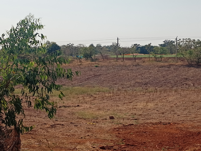 Agricultural Land 40 Acre for Sale in Chincholi, Gulbarga