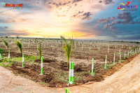  Agricultural Land for Sale in Vengal, Chennai