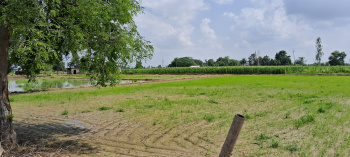  Agricultural Land for Sale in Jhajhar, Gautam Buddha Nagar