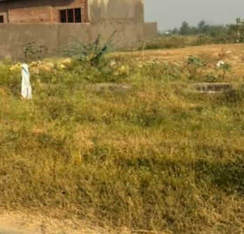  Commercial Land for Sale in Yamuna Expressway, Greater Noida