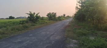  Commercial Land for Sale in Dankaur, Gautam Buddha Nagar