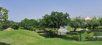  Residential Plot for Sale in Yamuna Expressway, Greater Noida