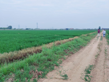  Agricultural Land for Sale in Bypass Road, Nellore