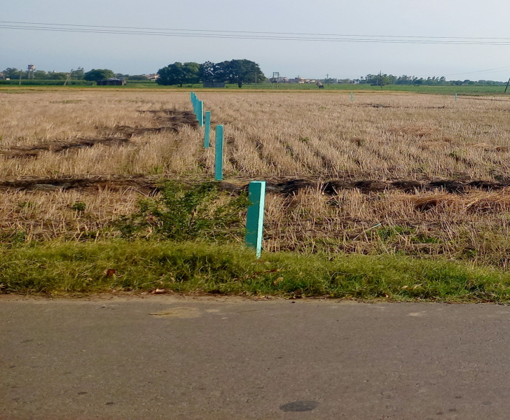 Industrial Land 1 Acre for Sale in Lalru, Mohali