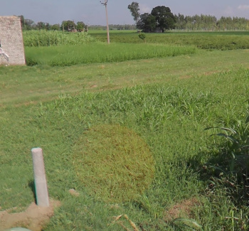  Industrial Land for Sale in Lalru, Mohali