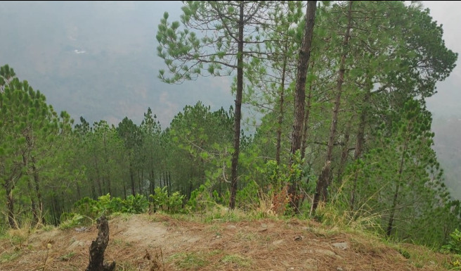  Agricultural Land 25920 Sq.ft. for Sale in Lansdowne, Pauri Garhwal