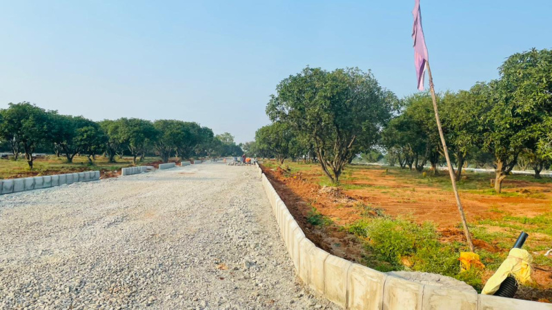  200 Sq. Yards Residential Plot for Sale in Shadnagar, Hyderabad