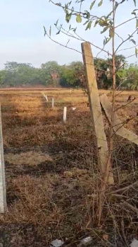  Agricultural Land for Sale in Thenambakkam, Kanchipuram