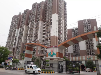2 BHK House & Villa for PG in Sector 50 Noida