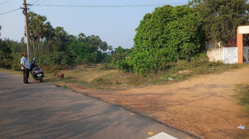  Agricultural Land for Sale in Achutapuram, Visakhapatnam