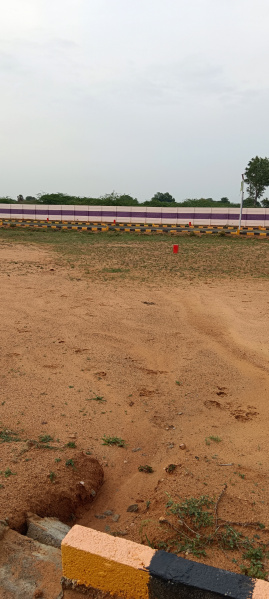  Residential Plot 1200 Sq.ft. for Sale in Trichy Madurai Road, Tiruchirappalli