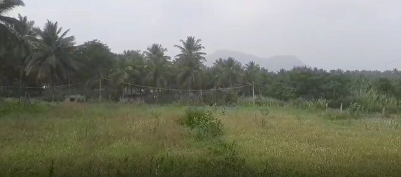  Agricultural Land 2 Acre for Sale in Kanakapura, Bangalore