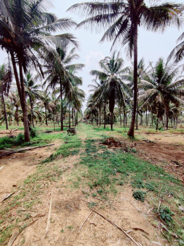  Agricultural Land for Sale in Hirisave, Hassan