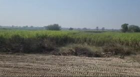  Agricultural Land 1361000 Sq. Meter for Sale in Ayodhya, Faizabad