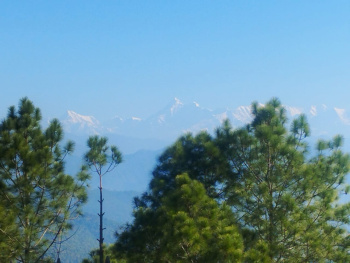  Residential Plot for Sale in Mall Road, Almora