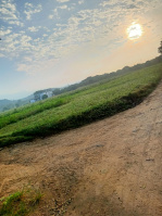  Agricultural Land for Sale in Bail Parao, Nainital