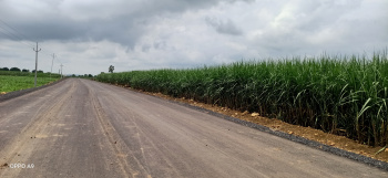  Agricultural Land for Sale in Naigaon, Mumbai