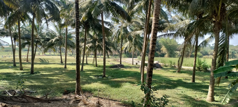  2 Acre Residential Plot for Sale in Othakalmandapam, Coimbatore