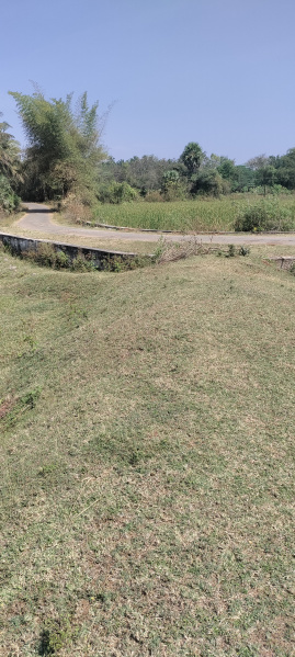  2 Acre Residential Plot for Sale in Othakalmandapam, Coimbatore