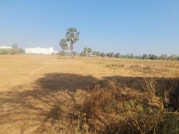  Agricultural Land for Sale in Kinathukadavu, Coimbatore