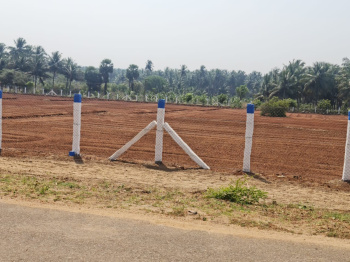 Agricultural Land for Sale in Thamaraikulam, Theni