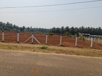  Agricultural Land for Sale in Thamaraikulam, Theni